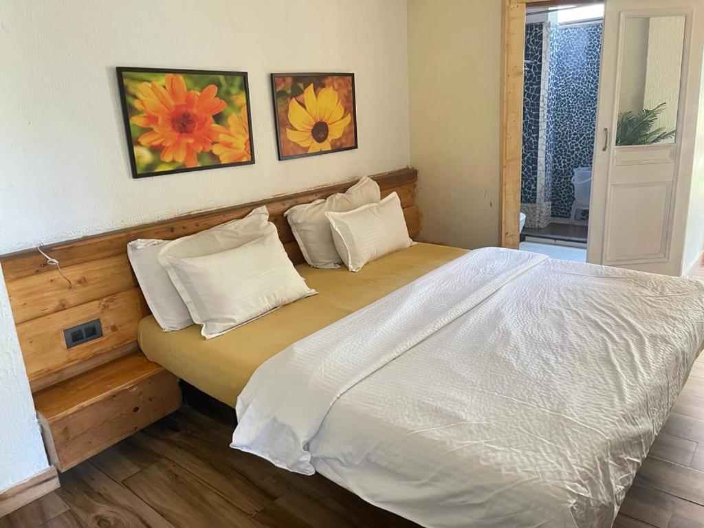 Sunrise Cottage Dagshai Екстер'єр фото